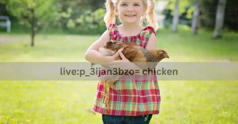 Live:p_3ijan3bzo= Chicken – Everything You Need to Know! Live:p_3ijan3bzo= Chicken – Everything You Need to Know!
