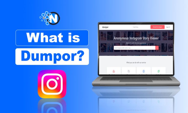 What is Dumpor? How to Use, Features and Best Alternatives