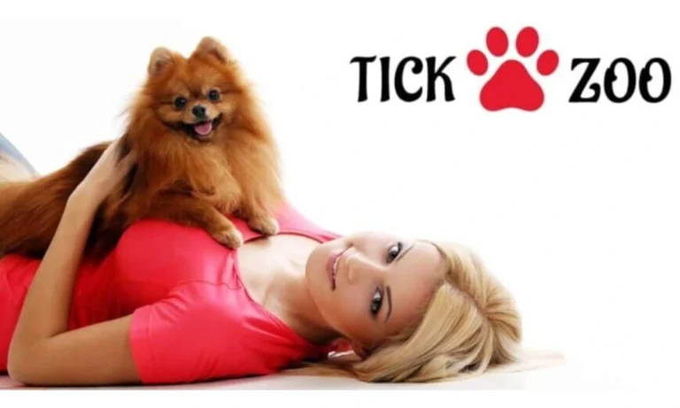 Discover TickZoo: Your Ultimate Guide To This Innovative Platform
